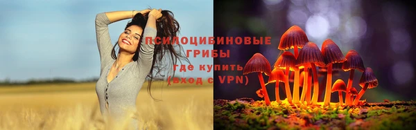 прущий лед Белокуриха